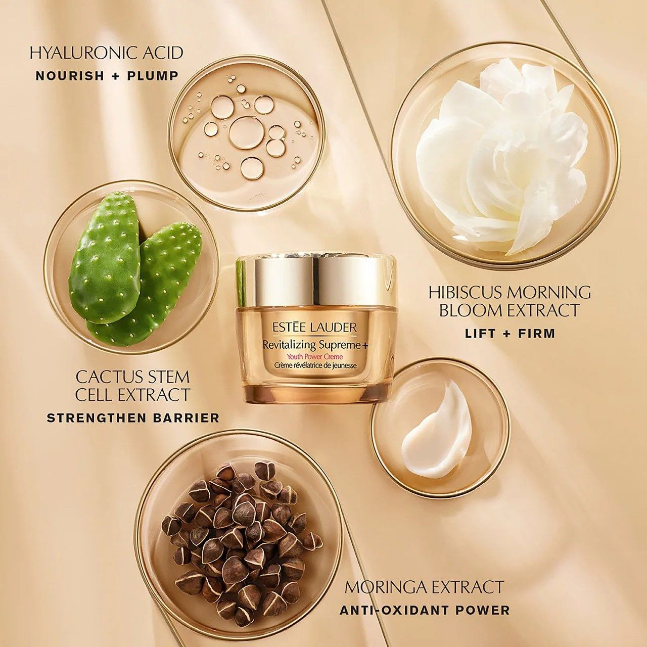 Estée Lauder